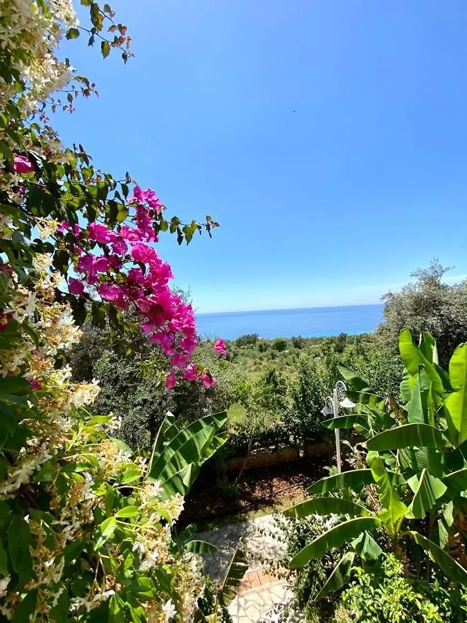 The Olives Terrace Residences Dhërmi 0*,  Albania