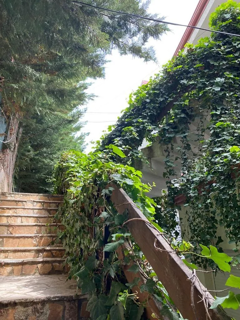 The Olives Terrace Residences Dhermi Albania